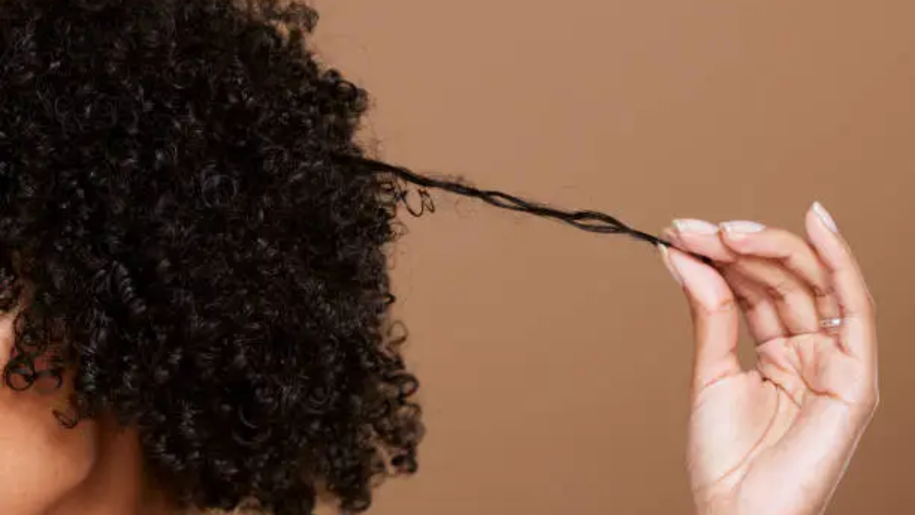 Hair care, beauty and black woman hand with curly hair on brown background in studio. Hair salon, wellness and girl holding curl marketing hair treatment products for growth, natural and healthy hair